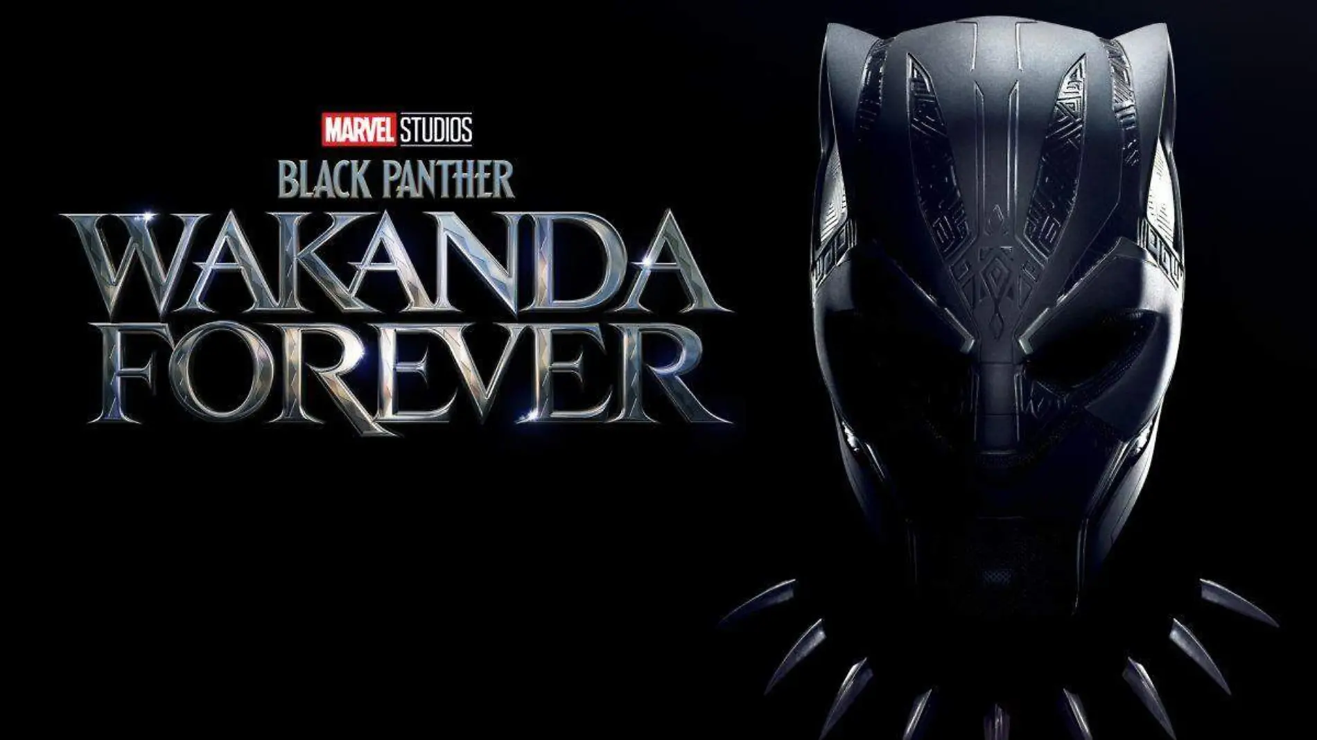 Black Panther Wakanda por siempre